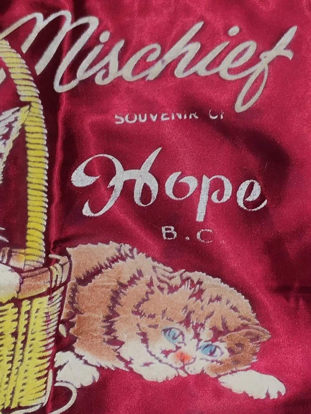 Vintage Hope BC Souvenir Pillow Cover 16